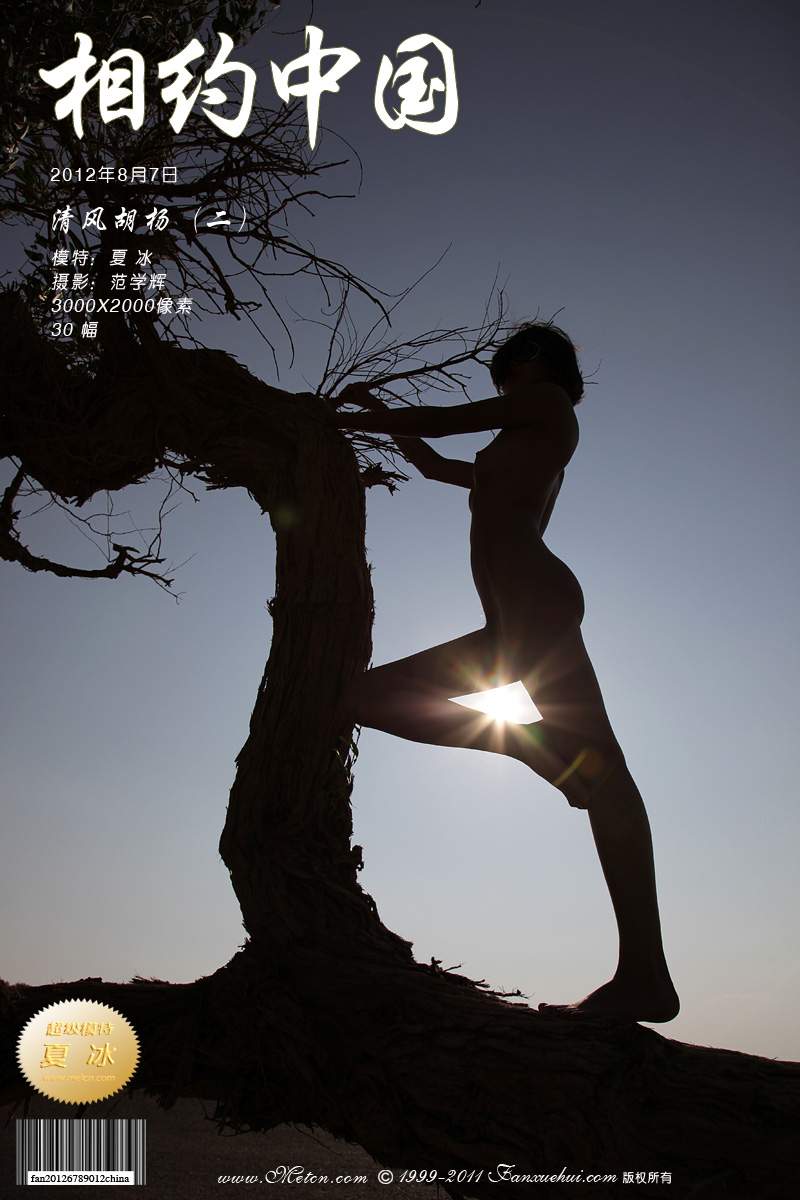 夏冰 - 清風胡楊 -2